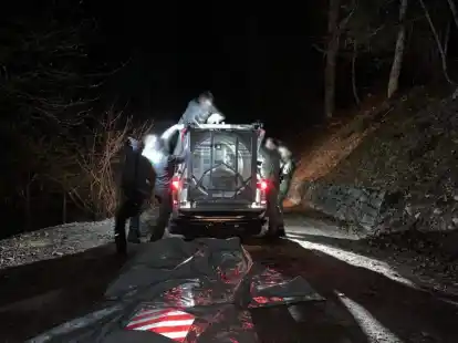 Mitarbeiter des Trentiner Forstkorps bereiten den Transport der B&auml;rin JJ4 in ein Wildreservat vor.
