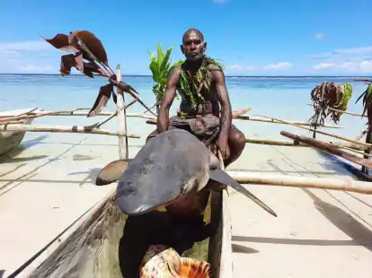 Ein Mann sitzt beim &laquo;Shark Calling Festival&raquo; auf einem erlegten Hai.