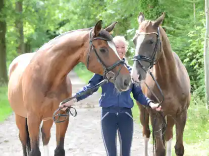 Charlotte Allmers (RC Grün-Weiß Moorhausen) hat sich mit Springpferd Cordamour (links) und Dressurpferd Fun Forever für das Oldenburger Landesturnier qualifiziert.