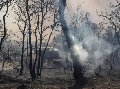 Ein Baum brennt vor einem besch&auml;digten Haus in der N&auml;he von Loutraki.