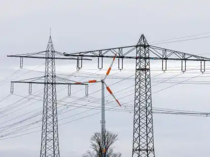 Die IEA erwartet, dass der Anteil der erneuerbaren Energien an der Stromerzeugung zunimmt, was zu einem R&uuml;ckgang der Nutzung fossiler Brennstoffe f&uuml;hrt.