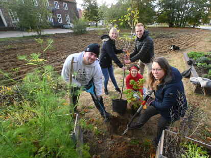 Urban Gardening Gemeinschaftsgarten im Oldenburger Stadtviertel