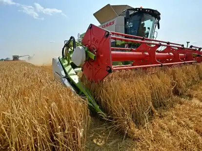 Landwirte ernten Wintergerste mit M&auml;hdreschern auf einem Feld (Symbolbild).