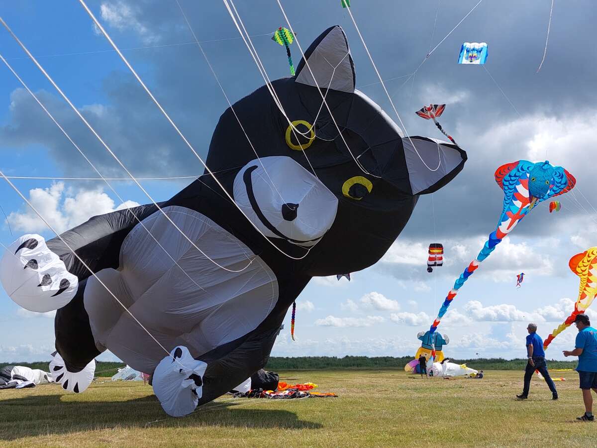 Drachenfest in Schillig am Strand