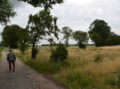 Die Ackerfl&auml;chen im Bereich Brookweg an der Grenze zur Gemeinde Emstek seien einmal die nassesten Fl&auml;chen Cloppenburgs gewesen, so Tabeling.