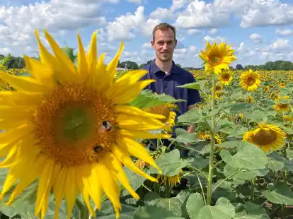Gefragt bei Hummeln und Verbrauchern gleicherma&szlig;en: die Sonnenblumen von Junglandwirt Tim J&uuml;chter und die Produkte daraus. In diesem Jahr baut der Bookhorner die Blumen auf einer Fl&auml;che von 4,5 Hektar an.
