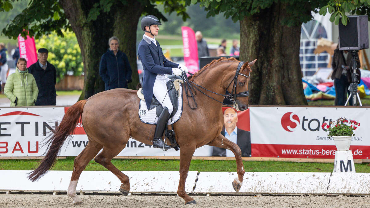 Dressur David Taylor gewinnt Große Tour beim Oldenburger Landesturnier