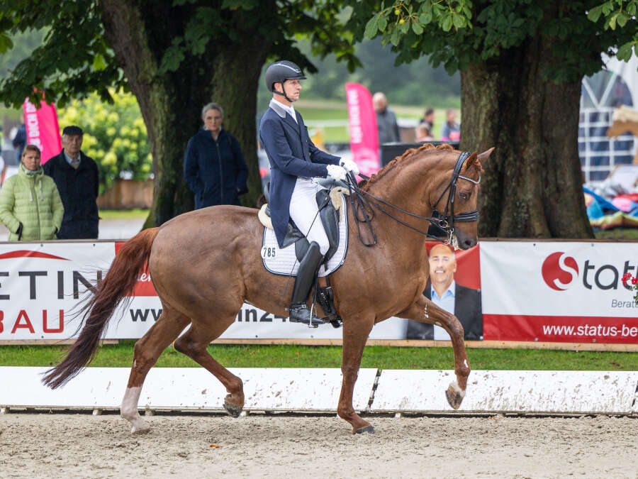 Dressur: David Taylor gewinnt Große Tour beim Oldenburger Landesturnier ...