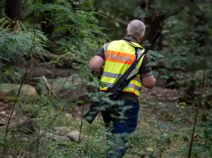 Ein Gemeindej&auml;ger durchsucht im Bereich der s&uuml;dlichen Landesgrenze von Berlin den Wald.