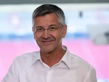 Harry Kane w&uuml;rde auch die Bundesliga attraktiver machen, sagt FCB-Pr&auml;sident Herbert Hainer.