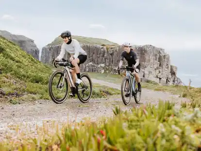 Gewachsene Vielfalt: Mittlerweile d&uuml;rfte fast jede Fahrradgattung auch als elektrifizierte Version zu haben sein.