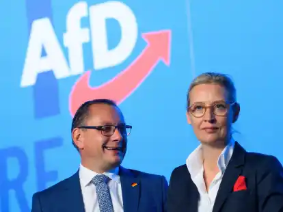 Die AfD-Bundesvorsitzenden in Magdeburg:&nbsp;Tino Chrupalla und Alice Weidel.