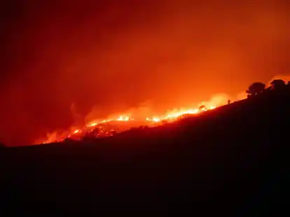 Der Waldbrand in der N&auml;he von Portbou in Katalonien konnte weitgehend unter Kontrolle gebracht werden.