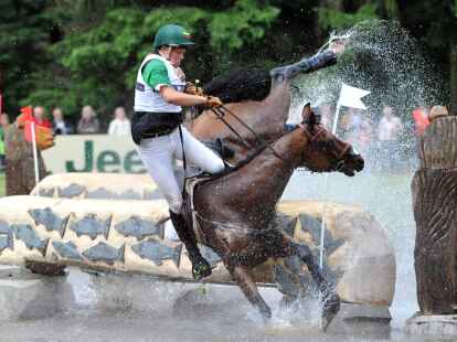Die Angst um die Pferde geh&ouml;rt zu dieser Pferdesport-Disziplin.