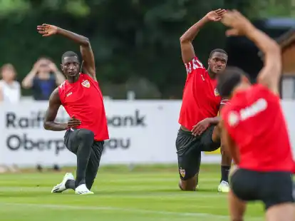 Einem Medienbericht zufolge ist Nottingham Forest an Stuttgarts Serhou Guirassy (l.) interessiert.