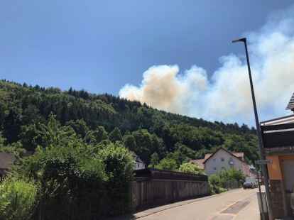 Was den Rauch von Waldbr&auml;nden so gef&auml;hrlich macht, ist vor allem der Feinstaub. Er kann zu Entz&uuml;ndungsreaktionen im K&ouml;rper f&uuml;hren.