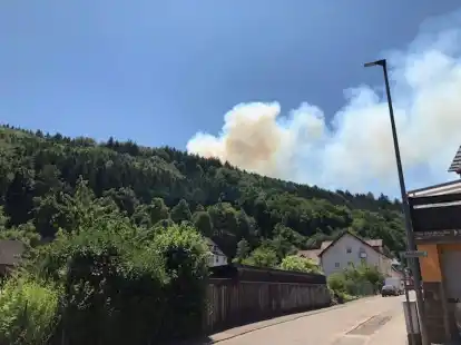 Was den Rauch von Waldbr&auml;nden so gef&auml;hrlich macht, ist vor allem der Feinstaub. Er kann zu Entz&uuml;ndungsreaktionen im K&ouml;rper f&uuml;hren.