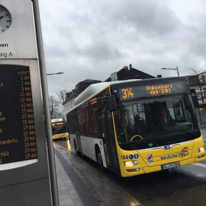Fahren demn&auml;chst seltener: die Busse der VWG
