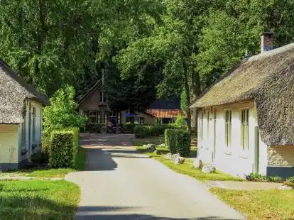 Reetdachh&auml;user in Frederiksoord: Hier wurde 1818 eine Kolonie f&uuml;r arme Familien gegr&uuml;ndet.