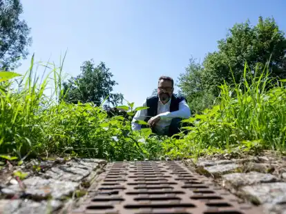 Jochen Meissner, Leiter der Abteilung Stadtentw&auml;sserung und Wasserbau der Stadt Neu-Ulm, hinter der Regenrinne einer Stra&szlig;e.