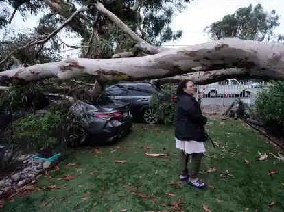 Umgest&uuml;rzte B&auml;ume nach dem Tropensturm &laquo;Hilary&raquo; im Sun Valley in Kalifornien.