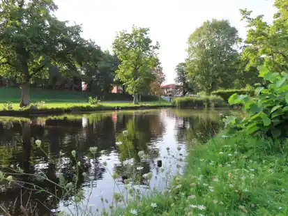 Still ruht der See: Noch kein Sanierungsstart am Schwanenteich.