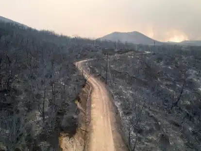 Blick auf einen verbrannten Wald  in der N&auml;he der Stadt Alexandroupolis in der nord&ouml;stlichen Region Evros.