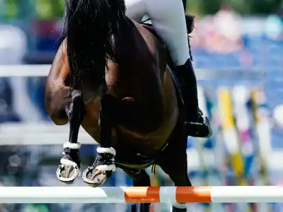 In Rotterdam hatten die deutschen Springreiter nichts mit dem Sieg zu tun.