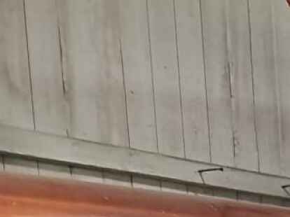 Zwischen Booten: Dort spielte das Blasorchester Wildeshausen.