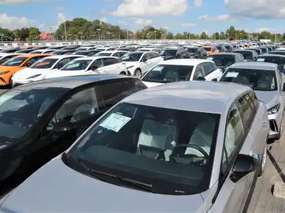 Auf dem TCN-Gel&auml;nde reiht sich E-Auto an E-Auto.