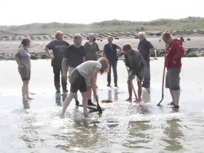 Unter Aufsicht von Dr. Jana Fries (hinten, ab Vierte von links), Christa Tammen, Bodo Hundorf und Dr. Mike Balasus (rechts) versuchen die Helfer, das Wrack ein wenig frei zu legen.