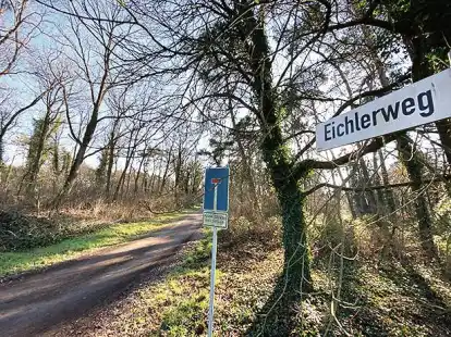 Der Eichlerweg: Die Stra&szlig;e geh&ouml;rt zur Gemeinde Hatten, die H&auml;user der Anlieger &ndash; auf der rechten Seite, hier nicht zu sehen &ndash; befinden sich auf Wardenburger Boden.