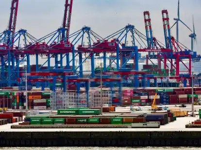 Containerbr&uuml;cken ragen im Hamburger Hafen in den Himmel.