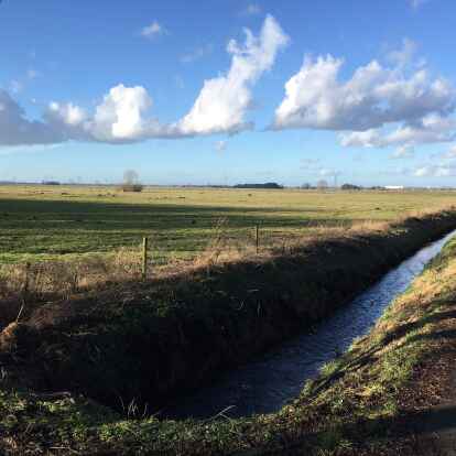 Mit der Aufstellung der Bauleitplanung f&uuml;r den Windpark im Hohenb&ouml;kener Moor (Bild) hat sich der Ganderkeseer Gemeindeentwicklungsausschuss befasst.