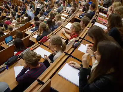 Einen Hochschul- oder &auml;hnlichen Abschluss haben rund 37,5 Prozent der 25- bis 34-J&auml;hrigen.