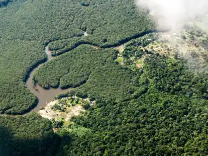Das Amazonasgebiet um Manaus in Brasilien. Vor allem Aktivisten, die sich gegen die Agrarindustrie, Bergbau und Holzf&auml;llerei einsetzen, leben gef&auml;hrlich.
