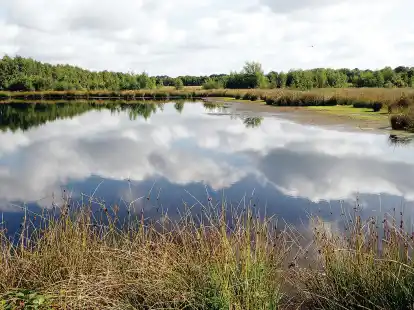 Die Wesermarsch und das Wasser: Mit der Entw&auml;sserung hat man im Landkreis viel Erfahrung. Der Klimawandel sorgt aber f&uuml;r neue Herausforderungen.