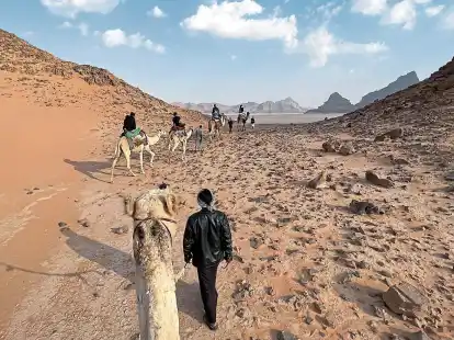 <p>Auf R&uuml;cken mit H&ouml;ckern: Kamelreiten geh&ouml;rt im Wadi Rum zu den beliebtesten Besch&auml;ftigungen, denen Touristen nachgehen. Einmieten kann man sich in Camps. </p>