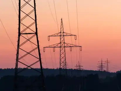 Viele fordern sie: Von einer staatlichen Subvention des Industriestroms soll der Wirtschaftsstandort Deutschland profitieren. Doch zu welchem Preis?