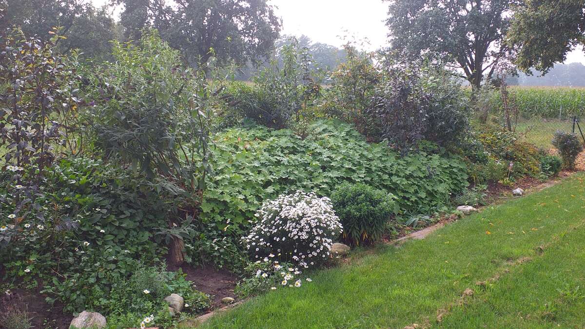 Wettbewerb NWZ Gartenzeit „Naturnahes Gärtnern“ Ein richtiges Paradies