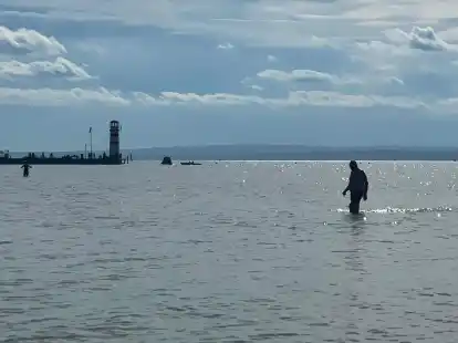 Donauwasser soll den Neusiedler See in &Ouml;sterreich retten.