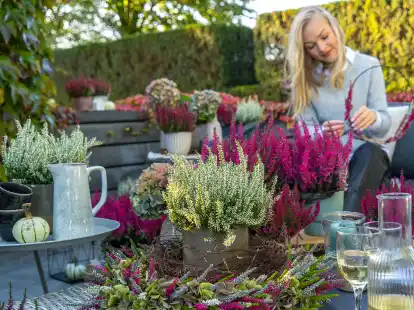 Die neue Linie &bdquo;Nexxt&ldquo; ist besonders langlebig und trotzt den Wetterkapriolen.