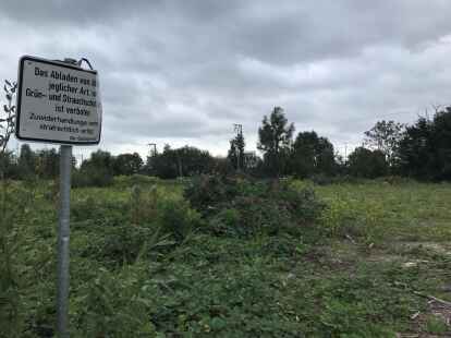 Noch sieht es hier nicht nach einem Gewerbegebiet aus: der sogenannte Buschplatz nahe dem Tierheim.