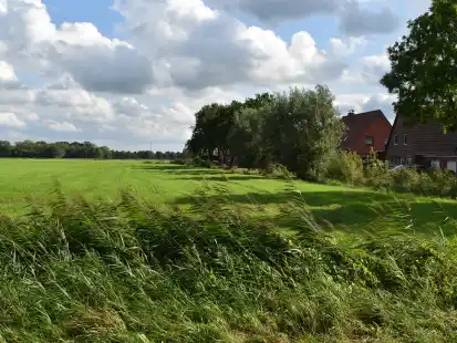 Auf diesem Gr&uuml;nland am n&ouml;rdlichen Ortsrand von Abbehausen sollen 20 Baupl&auml;tze erschlossen werden.