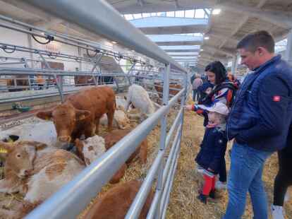 Im vergangenen Jahr konnten viele Tiere beim Galliviehmarkt bestaunt werden.