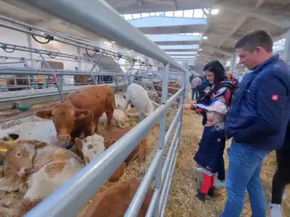 Im vergangenen Jahr konnten viele Tiere beim Galliviehmarkt bestaunt werden.