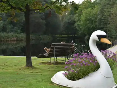 Auf einer Halbinsel am Ottermeer in Wiesmoor (Hintergrund) soll nach dem Willen der Stadt und vieler Beteiligten jetzt eine Hundefreilauffl&auml;che geplant werden. Der ma&szlig;gebliche Beschluss steht aber noch aus.