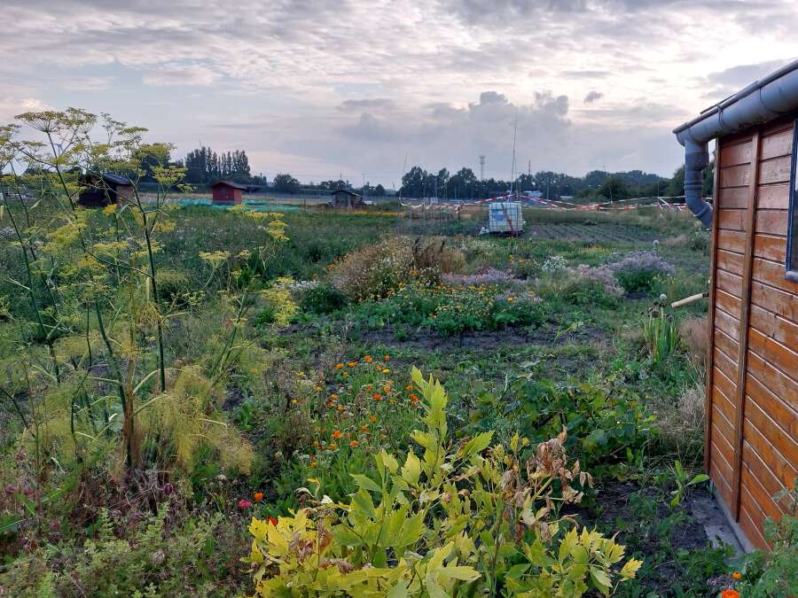 44+ Grabeland Teich, Der zugehörige postleitzahlbereich ist 12589
