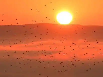 Der September 2023 war laut vorl&auml;ufiger DWD-Bilanz auch der zweitsonnigste seit Beginn der Aufzeichnungen.