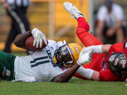 Die Leipzig Kings werden 2024 nicht in der ELF starten.